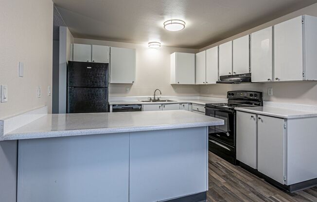 2 beds, 1 bath, 980 sqft, $1,645