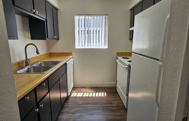1 bed, 1 bath, 580 sqft, $995, Unit 229