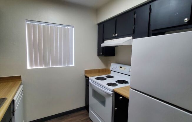 1 bed, 1 bath, 580 sqft, $995, Unit 229