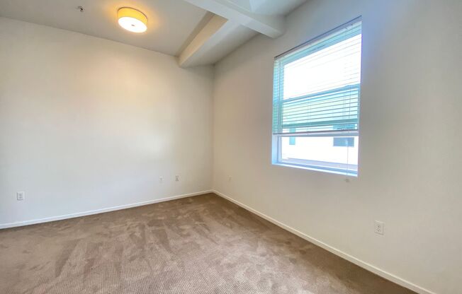 Studio, 1 bath, 175 sqft, $1,895, Unit 2506-A