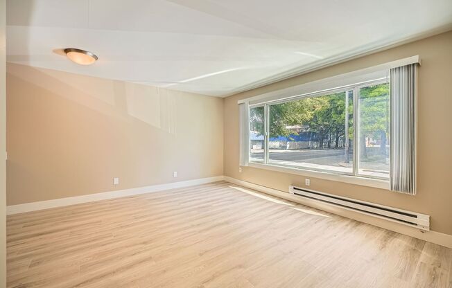Newly Remodeled 1bed/1bath Apartment in the Mt Baker Neighborhood!