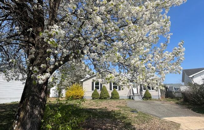 Lovely Rambler w/ 3 bedrooms