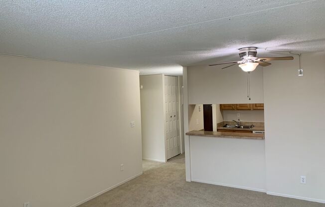 1 bed, 1 bath, 550 sqft, $945, Unit 310B