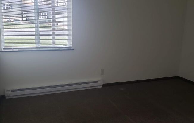 1 bed, 1 bath, 700 sqft, $1,250