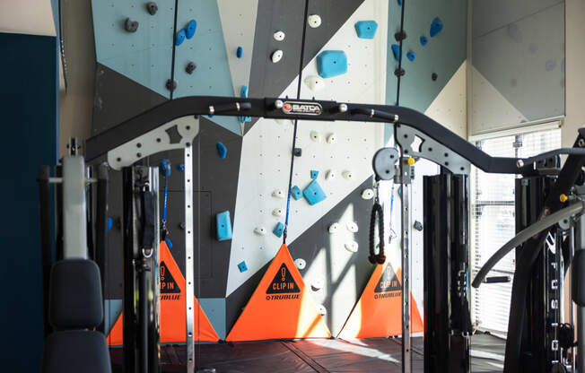 a climbing gym with a rock climbing wall
