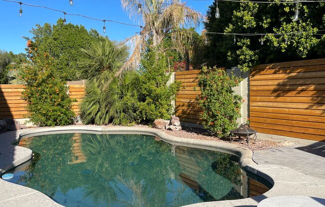 PRIVATE POOL, ADORABLE 3 Bedroom/2 Bath in Dobson Place