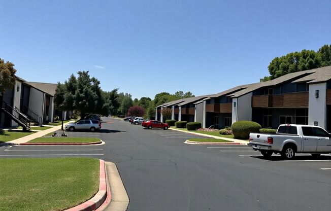 Live Surrounded by Nature and Comfort in the Heart of Austin