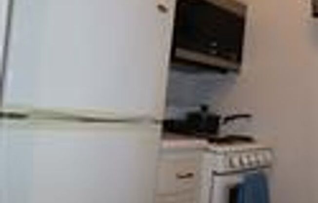 Super Cute, Tastefully Furnished, Hyde Park Condo