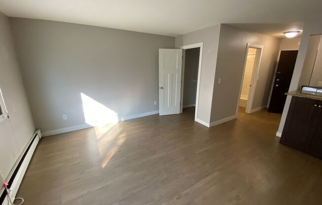 Studio, 1 bath, 300 sqft, $795, Unit 205