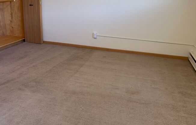 1 bed, 1 bath, 500 sqft, $925, Unit 3715-206