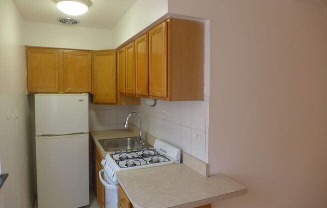 Studio, 1 bath, 305 sqft, $1,195, Unit 309