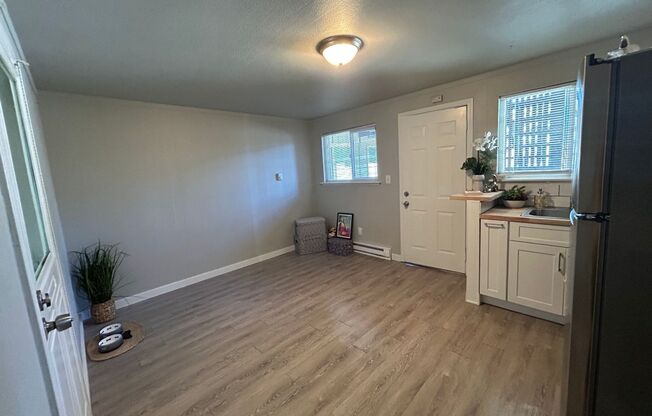 Studio, 1 bath, 250 sqft, $1,200