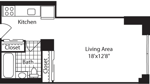 Studio, 1 bath, 414 sqft, $4,601, Unit 206