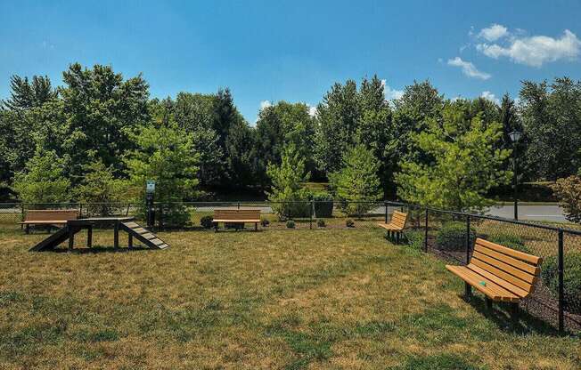 a park with benches and a picnic table