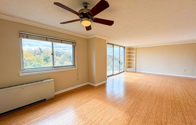 Bright And Spacious 1 Bed 1 Bath Condo With Balcony Vibrant Parkeast - Utilities Included