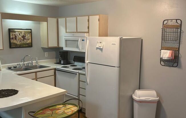 1 bed, 1 bath, 600 sqft, $1,350, Unit 190116D