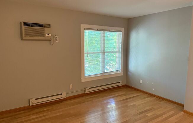 Studio, 1 bath, 350 sqft, $1,100, Unit Unit 309