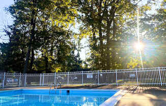 A pool surrounded by trees with the sun shining through the branches.