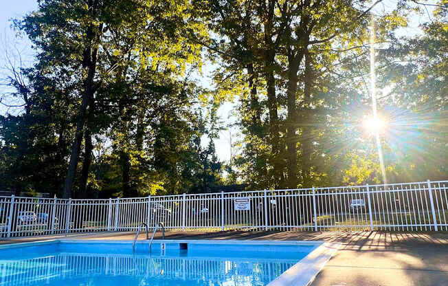 A pool surrounded by trees with the sun shining through the branches.