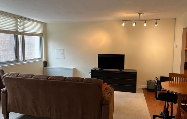 Beautiful Furnished Studio Downtown Silver Spring