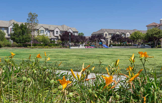 View of Park Place at San Mateo Apartments