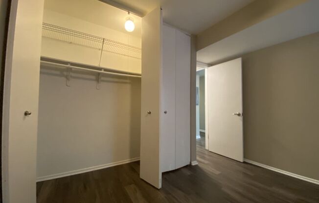Large closet in the bedroom