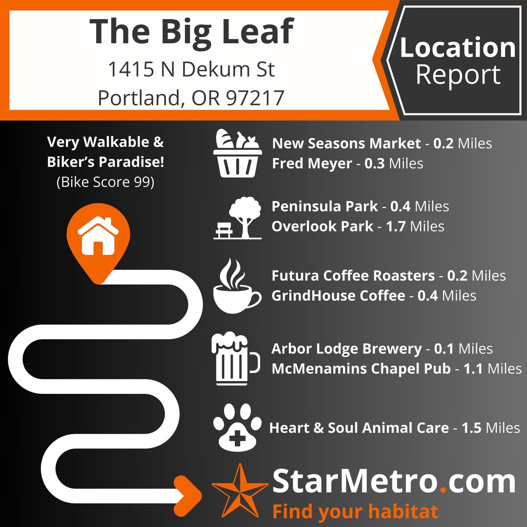 The Big Leaf by Star Metro