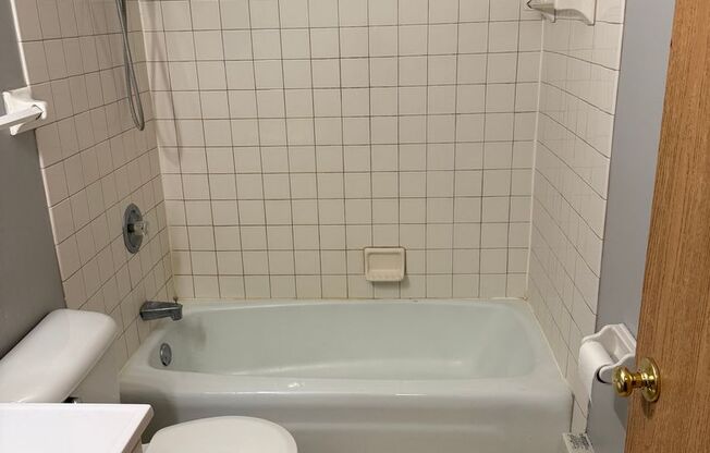 Studio, 1 bath, 350 sqft, $1,100, Unit Unit 309