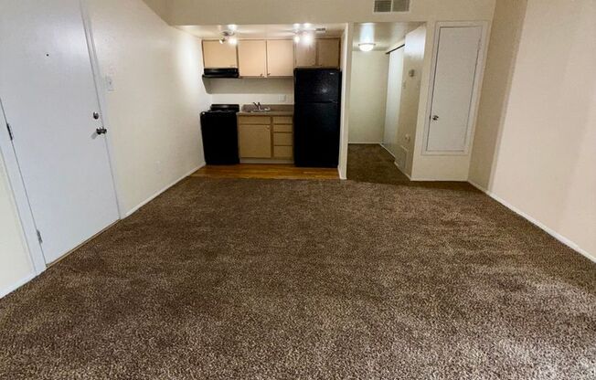 Studio, 1 bath, 445 sqft, $804, Unit 250