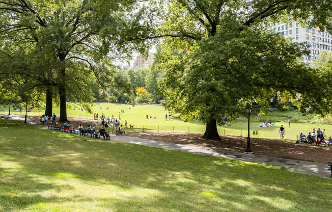 Enjoy the fresh air by exploring Central Park.