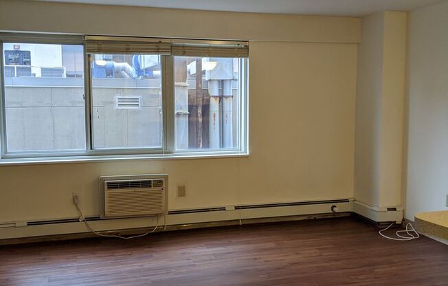 Studio, 1 bath, 431 sqft, $2,500, Unit 1203
