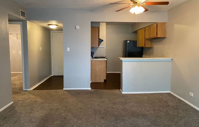 Large 1-Bedroom Off San Pedro