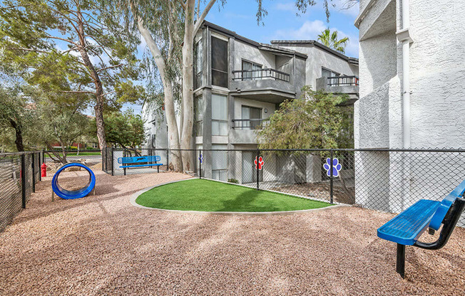 Community Dog Park with Agility Equipment at Crystal Creek Apartments in Phoenix, AZ.