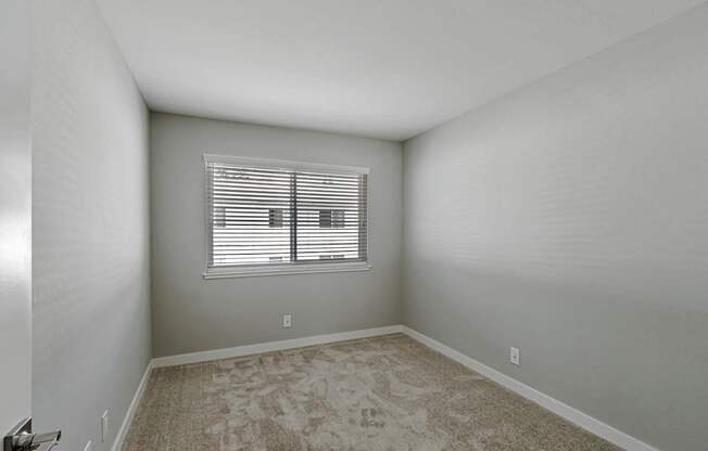 A room with a carpeted floor and a window with blinds.