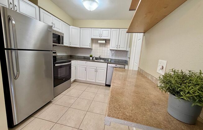 Charming 3 Bedroom 1.5 Bathroom in South Tampa!