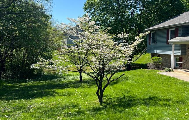 Spacious & Stylish 3-Bedroom 1.5 Bath House with Modern Amenities – Ideal Location!