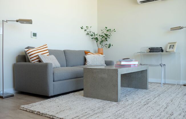 1 bed, 1 bath, 556 sqft, $2,699, Unit 517