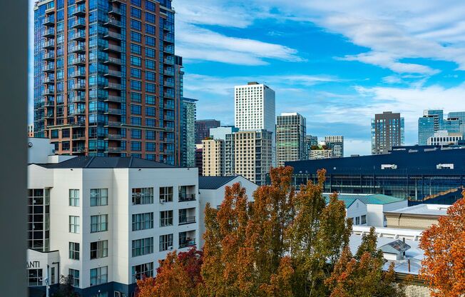 1 bed, 1 bath, 515 sqft, $1,995, Unit 212