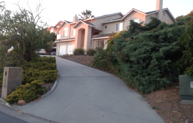 10072 ROSEVIEW DR