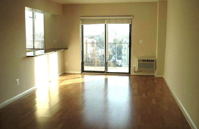 1 bed, 1 bath, 745 sqft, $2,500, Unit 1001