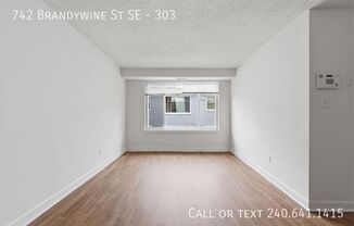 742 BRANDYWINE ST SE