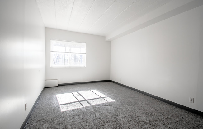 1 bed, 1 bath, 529 sqft, $850, Unit Pine Cone Village C-24