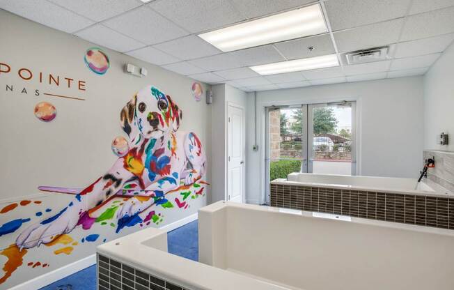 Photo of Fountain Points dog washing station and room