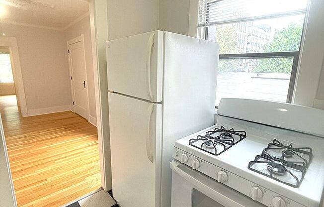 1 bed, 1 bath, 560 sqft, $1,250, Unit 1