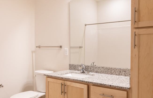 a bathroom with a toilet and a sink and a mirror