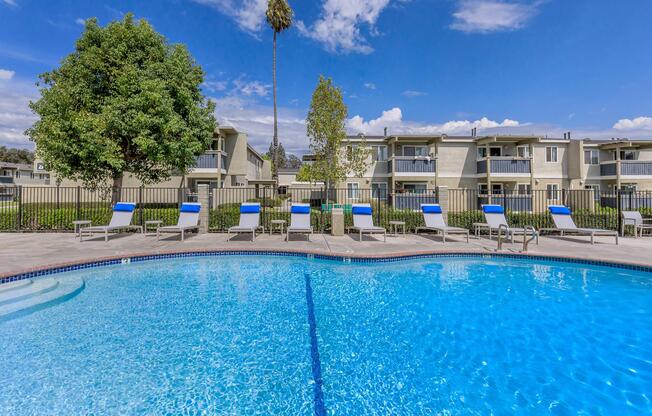 A clear blue swimming pool surrounded by lounge chairs, with a palm tree in the background. Apartment buildings are visible in the distance under a bright blue sky with some clouds. The area is well-maintained with greenery along the poolside.
