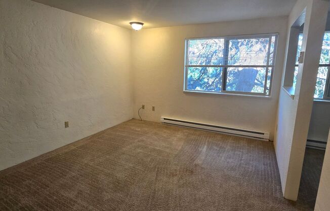 1 bed, 1 bath, 335 sqft, $1,095, Unit 04