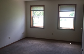 Milestone Properties