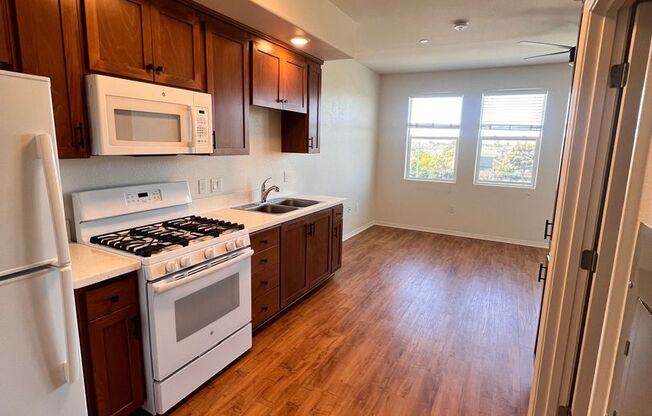 Studio, 1 bath, 418 sqft, $1,350, Unit 1301-215