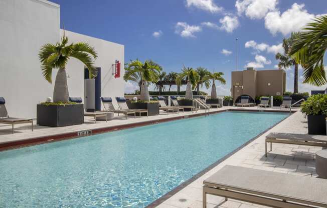 the pool at the ace hotel